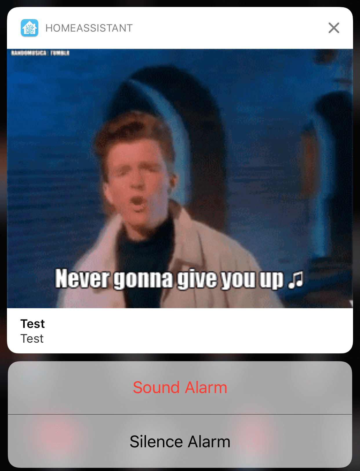 同一通知,但展开以显示全尺寸附件